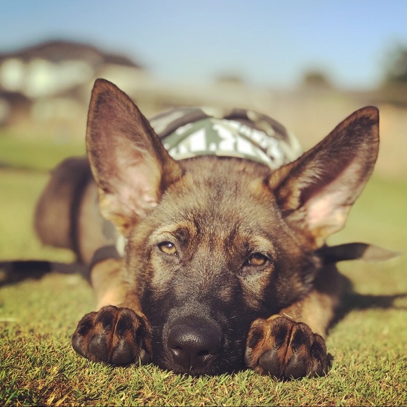 Meet your Posher, Jessica - Picture 6 of 6